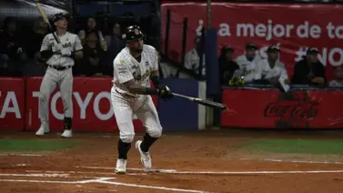 LVBP: El factor Alí Castillo funciona para los Leones de forma inmediata LVBP: El factor Alí Castillo funciona para los Leones de forma inmediata