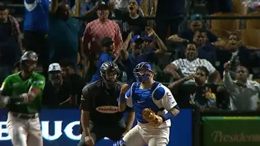 Jesús Sucre muestra su potente brazo con los Tigres de Licey en Dominicana (+Video) Jesús Sucre muestra su potente brazo con los Tigres de Licey en Dominicana (+Video)