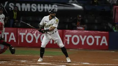 LVBP: Alí Castillo camina por una postemporada a ritmo de récord con Leones (+FOTO) LVBP: Alí Castillo camina por una postemporada a ritmo de récord con Leones (+FOTO)