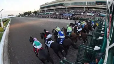 Datos de las carreras americanas (Simulcast Gulfstream Park 6/1/2023) Datos de las carreras americanas (Simulcast Gulfstream Park 6/1/2023)