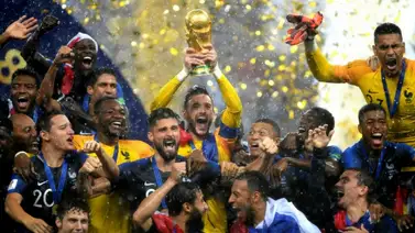 Una leyenda de Francia se retira de la selección (+Tweet) Una leyenda de Francia se retira de la selección (+Tweet)