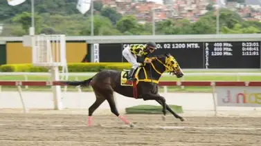 Conoce quién es el nuevo entrenador de yegua Tequila en La Rinconada Conoce quién es el nuevo entrenador de yegua Tequila en La Rinconada