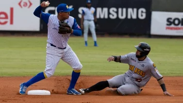 LVBP: Estos son los juegos para hoy 12 de enero en el Round Robin