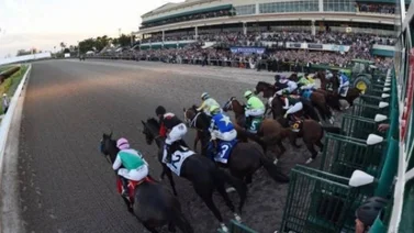 Datos de las carreras americanas (Simulcast Gulfstream Park 14/1/2023)
