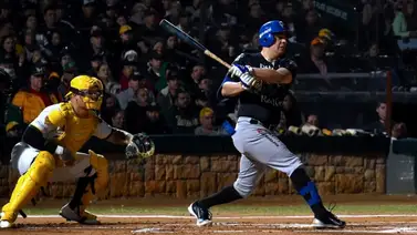 Así marchan las ligas invernales del Caribe Así marchan las ligas invernales del Caribe