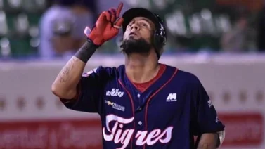 LVBP: Las actuaciones de "Cafecito" Martínez y Amarista no evitan el derrumbe de los Tigres