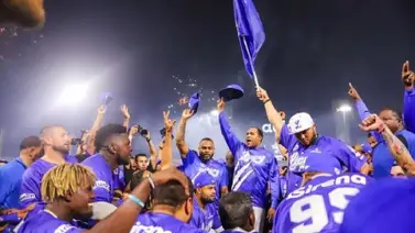 Lidom: Tigres del Licey conquistan su título 23 en la pelota invernal dominicana Lidom: Tigres del Licey conquistan su título 23 en la pelota invernal dominicana