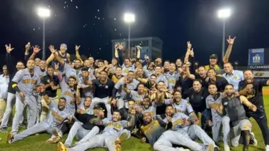 LVBP: ¿Cuándo fue la última vez que los Leones del Caracas jugaron una final? LVBP: ¿Cuándo fue la última vez que los Leones del Caracas jugaron una final?