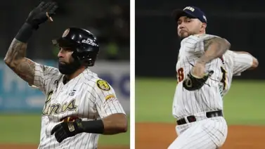 LVBP: Leones del Caracas hablan sobre la posibilidad de adquirir a Silvino Bracho y Alí Castillo LVBP: Leones del Caracas hablan sobre la posibilidad de adquirir a Silvino Bracho y Alí Castillo