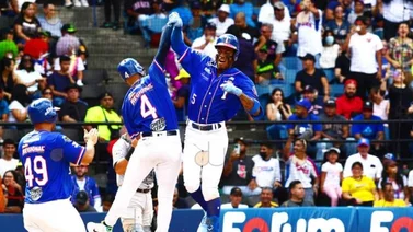 LVBP: ¿Cuál es el aporte que les puede dar Alí Castillo y Maikel García a Leones y Tiburones en la Gran Final?