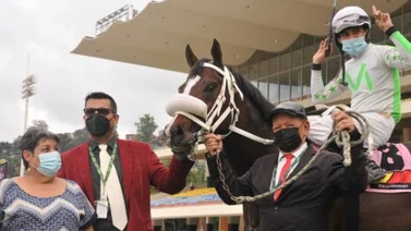 Este ejemplar regresa a la pista de La Rinconada tras 147 días de inactividad