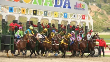 Potras retan a las maduras en la primera válida para el juego del 5y6