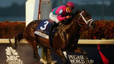 Javier Castellano y Junior Alvarado por la conquista de la Pegasus World Cup
