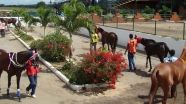 Así quedaron los resultados de Rancho Alegre 28/1/2023