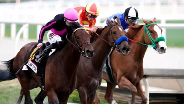 Junior Alvarado conquista la Pegasus World Cup con el ejemplar Art Collector