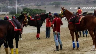Ejemplares retirados en el hipódromo La Rinconada 29/1/2023