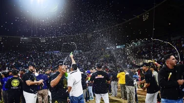 LVBP: ¿Leones del Caracas podría dejar de jugar en el estadio Universitario?