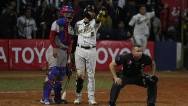 LVBP: Así queda la diferencia de títulos entre los Leones del Caracas y los Navegantes del Magallanes