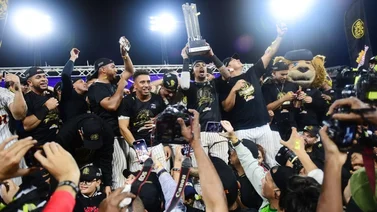 Usuarios de Meridiano ven blindados a los Leones del Caracas para la Serie del Caribe (+Encuesta)