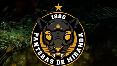 Superliga: Panteras de Miranda regresa al baloncesto profesional