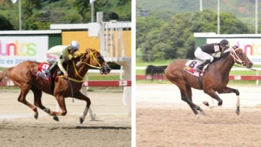 ¡Tiemblan los relojes! Los caballos más rápidos de La Rinconada reaparecen este domingo