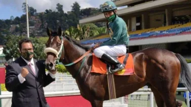 Este caballo, que está invicto, regresa a la pista de La Rinconada después de 847 días sin correr
