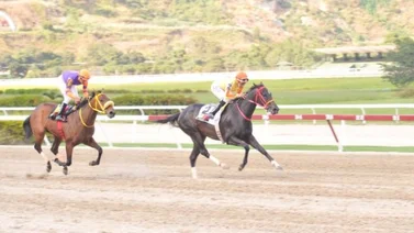 Esta será la gríngola que usará Caramel Arrow en la tercera válida del domingo en La Rinconada