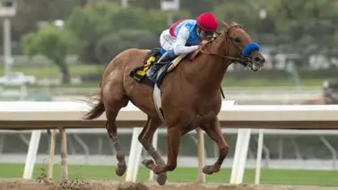 Taiba es el principal favorito para ganar la carrera más millonaria del mundo Taiba es el principal favorito para ganar la carrera más millonaria del mundo