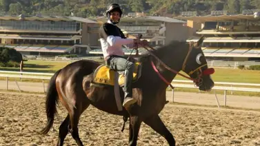 Francisco Quevedo resteado con este ejemplar el domingo en La Rinconada Francisco Quevedo resteado con este ejemplar el domingo en La Rinconada
