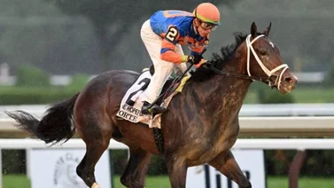 Meridiano Tv transmitirá en vivo carreras clasificatorias para el Kentucky Derby