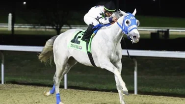 No te pierdas lo que dijeron Sonny León y Antonio Sano sobre la ruta al Kentucky Derby