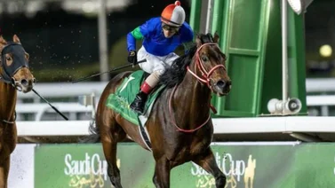 Ganador de la Saudí Cup correrá la Dubái Cup