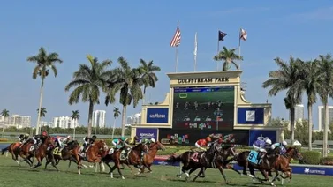 Datos de Última Hora para Gulfstream Park 11-11-2023