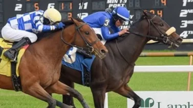 Cuatro jinetes venezolanos montaran en el Tampa Bay Derby