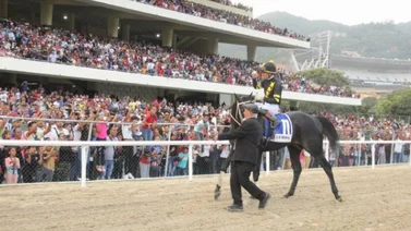 El de Froix reaparece en La Rinconada en el Clásico Jockey Club de Venezuela GI