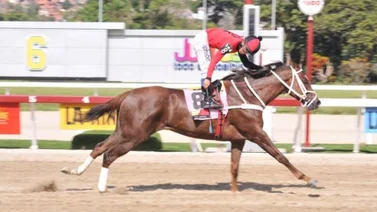 Un total de cinco yeguas se enfrentan en el Clásico Eduardo Larrazábal GIII