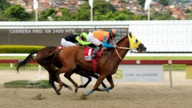Ganador del Clásico Internacional Simón Bolívar 2022 se va a la cría