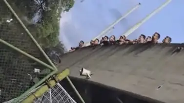 CONMEBOL sanciona con 100 mil dólares a Carabobo FC CONMEBOL sanciona con 100 mil dólares a Carabobo FC