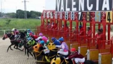 Ejemplares retirados del Hipódromo Nacional de Valencia 18-3-2023