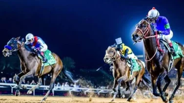 Japón y Estados Unidos tendrán otro duelo crucial, pero esta vez en la Dubai Cup
