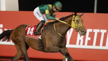Ushba Tesoro sorprende en la Dubai Cup Ushba Tesoro sorprende en la Dubai Cup