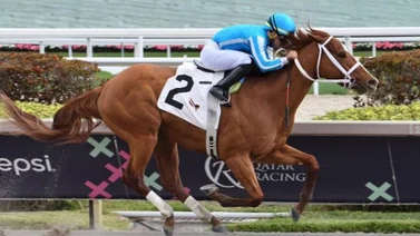 Venezolanos por el Florida Derby