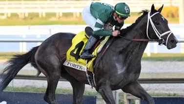 Conoce a qué hora transmitirá Meridiano Televisión el Florida Derby
