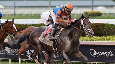 Forte se luce con la victoria en el Florida Derby y por la pantalla de Meridiano TV