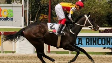 Tequila y Fast Sensations por el reinado de La Rinconada en el Manuel Fonseca Arroyal