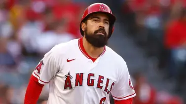 MLB: Anthony Rendón es suspendido por 5 partidos tras altercado con un aficionado MLB: Anthony Rendón es suspendido por 5 partidos tras altercado con un aficionado