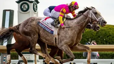 Tapit Trice se ganó los 100 puntos del Blue Grass Tapit Trice se ganó los 100 puntos del Blue Grass