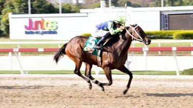 Brave Yole conquista el Clásico Peggy Azqueta