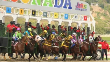 Datos última hora La Rinconada 23/4/2023