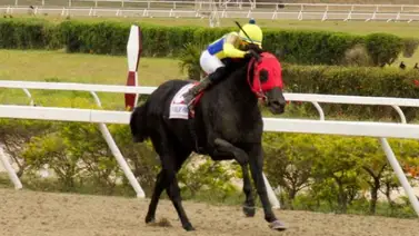 El de Froix conquista el Clásico Presidente de la República de manera contundente El de Froix conquista el Clásico Presidente de la República de manera contundente